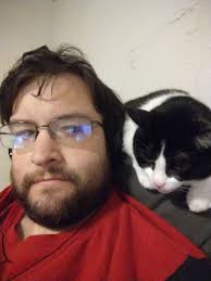 Theme: Cats. A week after this photo was taken my girl suffered a brain  aneurysm and sadly passed away at the vets aged 9 years. Miss you Shebob  xxxx