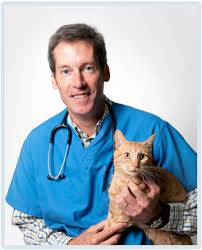 We also offer pet services including. Our Doctors Lake Forest Veterinarians Vet In Lake Forest Il