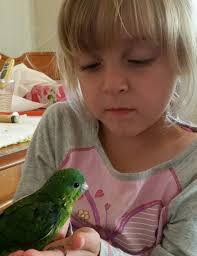 Meet Obi she is a rescue i have recently received and she is a blast of  fun! super sweet and loves to dance and eat pistachios😂❤️