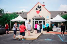 The humane society of the pikes peak region is the largest animal shelter in southern and western colorado, serving thousands of citizens and pets annually through our animal services, and by offering volunteer opportunities, education services and community outreach programs. 75 Pets Adopted During Lexington Humane Society Chi Saint Joseph Health Drive Abc 36 News