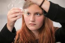 Ways to Support Sanford School in Hockessin, Delaware