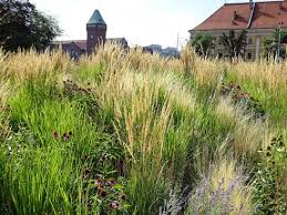 Kann man kleine gärten schön gestalten? Mit Grasern Den Garten Gestalten Garten Ch