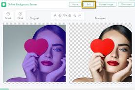 Slazzer is a web based service that uses artificial intelligence to remove the background of any image or photo. Best 10 Online Photo Editors Change Background Color To White