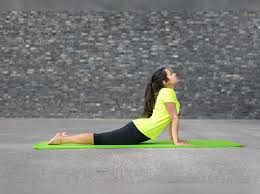 Muscles transfer force to bones through tendons. Do This Stretching Exercise To Relax Your Hips Lower Back And Hamstring Muscles Times Of India