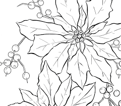 10 Poinsettia Clipart Line Art Line Art Drawings Childrens Colouring Book