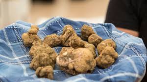 The truth about Italy's white truffles - BBC Travel