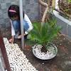 Taman minimalis di belakang rumah bisa dibuat mirip dengan taman pada teras depan atau samping. 1