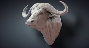 Cape Buffalo Animal Head 3d Model Turbosquid 1306166 Buffalo Animal Animal Heads Animals