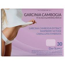 Image result for Garcinia pachyclada