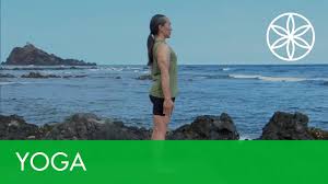 Check spelling or type a new query. Rodney Yee Yoga For Energy And Stress Relief Restorative Poses Yoga Gaiam Youtube