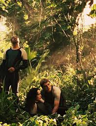 Catching Fire Hunger Games Hunger Games Theme Park Hunger Games Catching Fire