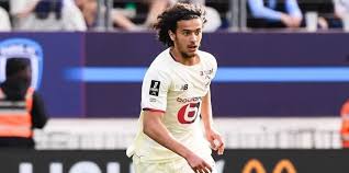 Lille - Le Havre: will the Great Danes be able to defeat the opponent?