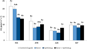 It is a major pest of sugarcane and a secondary pest of tea. Photosynthesis Yield And Raw Material Quality Of Sugarcane Injured By Multiple Pests Peerj