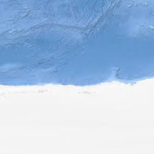 Image result for Doellia cafra