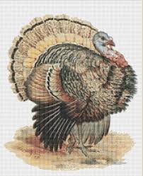 We did not find results for: Turkey Counted Cross Stitch Pattern Patterns Kits How To Timeglobaltech Com