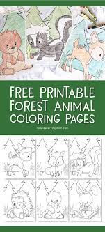 Here are some adorable free printable woodland animals coloring pages for kids. Math Coloring Sheets 1st Grade Forest Animals Pages For Kids Free Worksheets Year Olds Online New Cool Games Samsfriedchickenanddonuts