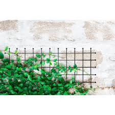 Whites 1800mm Wire Mesh Chelsea Trellis Handy Panel Bunnings Warehouse Wire Mesh Trellis Backdrops