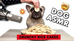 It is a common side effect that can be caused by cancer treatment,. Can Dogs Eat Rice Cakes Rice Puffed Cake Tteokbokki More