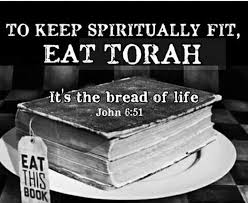 Pin Van Beit Shiloach Op Torah