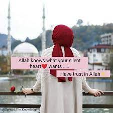 Pin On Farihashaikh