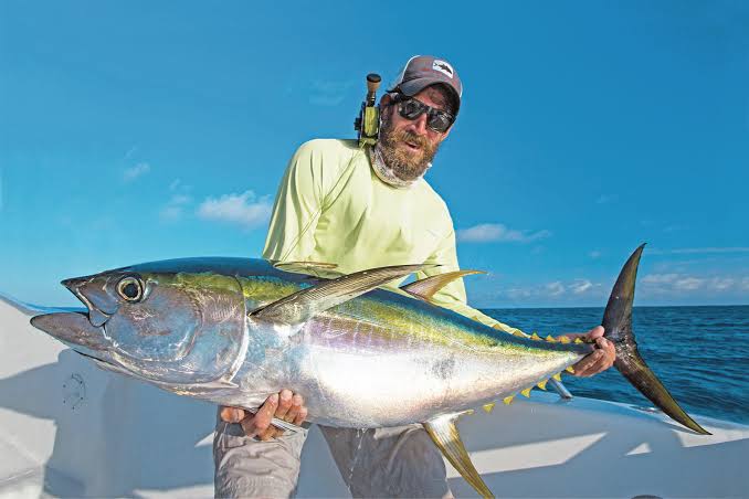 Yellowfin Tuna Guide 2025 | Fishing & Cooking Tips
