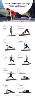 Reddit's best place for all things yoga. Yoga For Beginners The Definitive Guide To Practicing Yoga Doyou Yoga Poses For Beginners Yoga Poses Yoga For Beginners