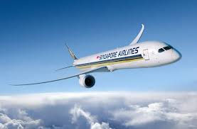 Singapore Airlines Has Been Referred As The Major And More Applicable Flight Service That Would Not Let Their Users To Fe In 2020 Singapore Airlines Airlines Singapore