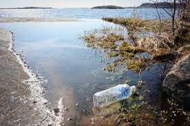 Our Baltic Sea Let S Fix The Damage We Have Caused Blastic