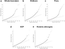 Like & subscribe to foundation tales today! The Genetic Architecture Of Human Brainstem Structures And Their Involvement In Common Brain Disorders Biorxiv