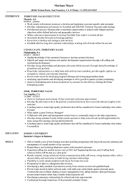Writing tips for creating a resume in that particular industry. Territory Sales Resume Samples Velvet Jobs