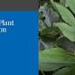 Rainforest Plant Identification Workshop - Cape Tribulation