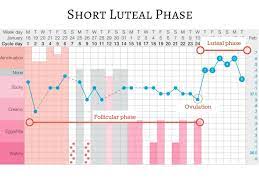 Short Luteal Phase The Preggers Kitchen