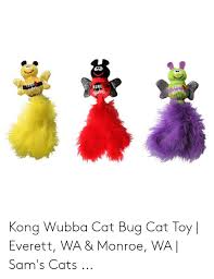 Mung Kong Kong Web Kong Wubba Cat Bug Cat Toy Everett Wa