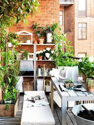 Check spelling or type a new query. Growing Fruit Trees In Pots Complete Guide Realestate Com Au