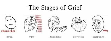 5 stages of grief meme cat. The 5 Stages Of Grief At The Happy Valley Horse Races Madbuzzhk