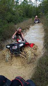 Hatfield Mccoy Trails Everything Wv