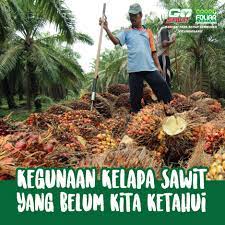 We did not find results for: Manfaat Pokok Baja Gosawit Terbaik Untuk Sawit Anda Facebook