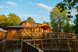 See 11,479 traveller reviews, 5,025 candid photos, and great deals for center parcs elveden forest lodge reviews, suffolk. Center Parcs Brings Treehouse Breaks To Elveden Forest Center Parcs