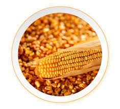Global suppliers business services dindings poultry processing sdn bhd profile. Mfm Dindings Poultry