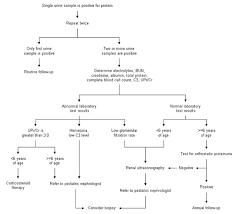 This calculator is for people aged 18 years or older. Evaluating Proteinuria In Children American Family Physician