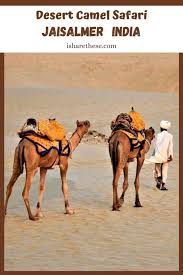 I can remember no biblical reference to jesus riding a camel, but it is possible. Pin On I Share Travel Tales By Indrani
