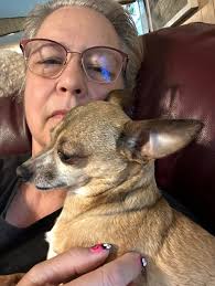 Is anyone missing a siamese cat in the Dandridge area of Goose Creek,  Historic Hills, Green Hill Rd, Matthew Estates? He's been hanging out in  the woods behind my house for 2