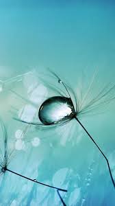 The complete collection of apple stock wallpapers extracted from apple devices. Iphone 5 Plus Hd Free Wallpapers For Mobiles