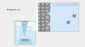 Metals In Hydrochloric Acid Pbs Learningmedia