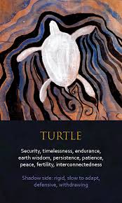 Crowd Sale Spirit Animal Awareness Oracle Cards Turtle Spirit Animal Animal Totem Spirit Guides Spirit Animal Totem