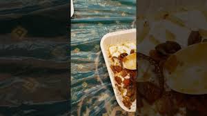 فضيحة مطعم ابو زيد بالطائف Youtube