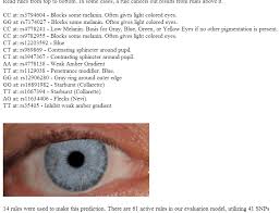 The Dna Of Eye Color Its Complicated Kitty Coopers Blog