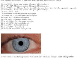 the dna of eye color its complicated kitty coopers blog