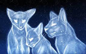 Warrior cats clans warrior cat memes warrior cats series warrior cats books benadryl for cats herding cats cats for sale cat drinking cat birthday. Warrior Cat Wallpaper Posted By Ryan Peltier