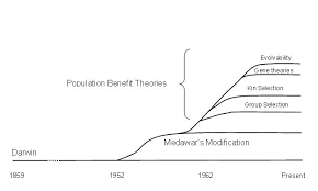 Wear And Tear Theory Of Aging